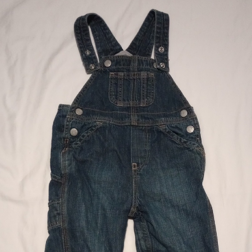 GAP Baby Denim Overalls with Soft Gray Interior